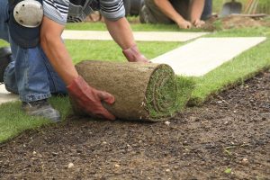 Landscaping Tips To Increase Your Property Value